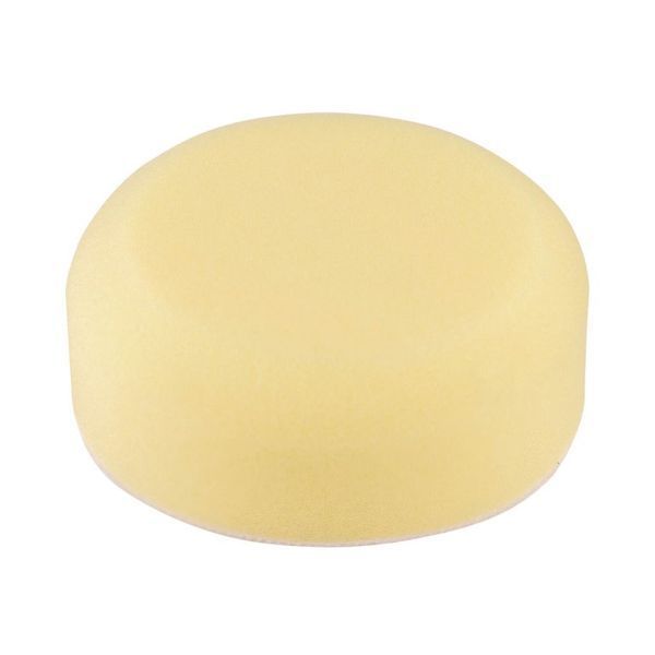 Le&scaron;tiaci kruh Sponge 52462000 фото